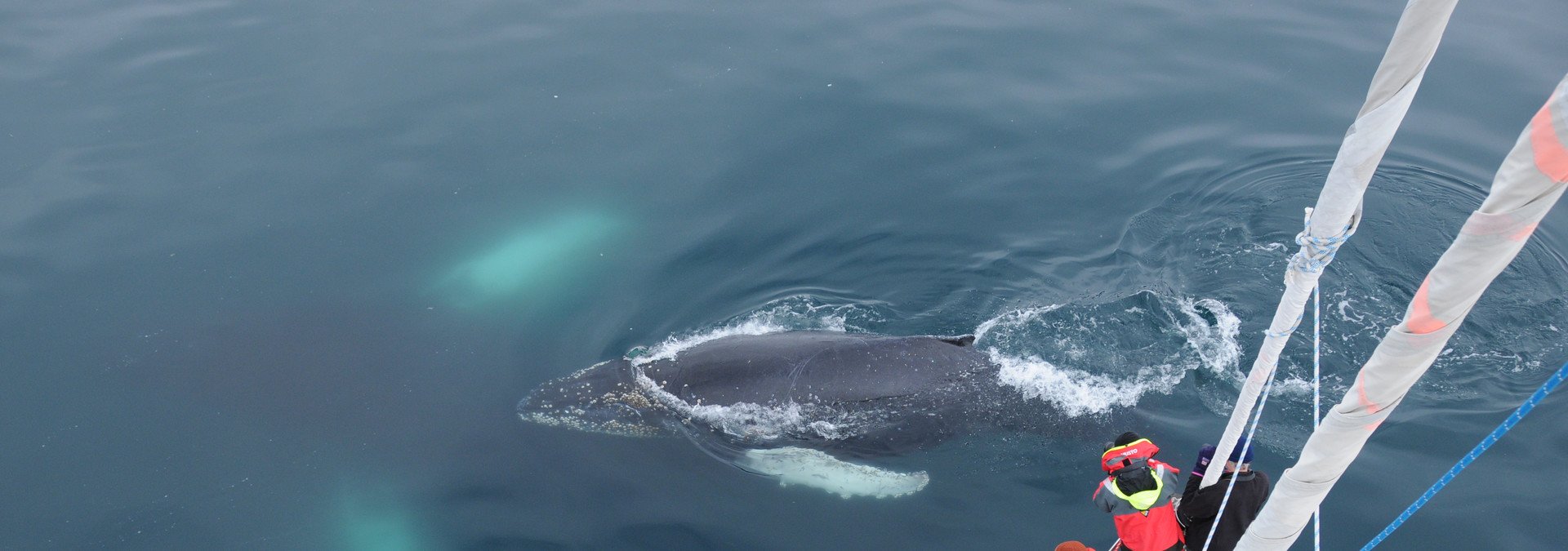 Using a Watermaker in Cold Temperatures: Kotik in Antarctica